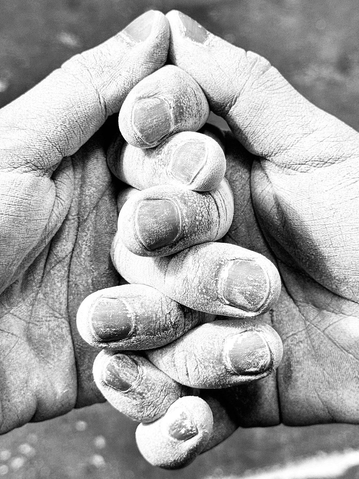 Chalk-covered hands of a lifter clasped together in black and white, for an article on ashwagandha benefits for men