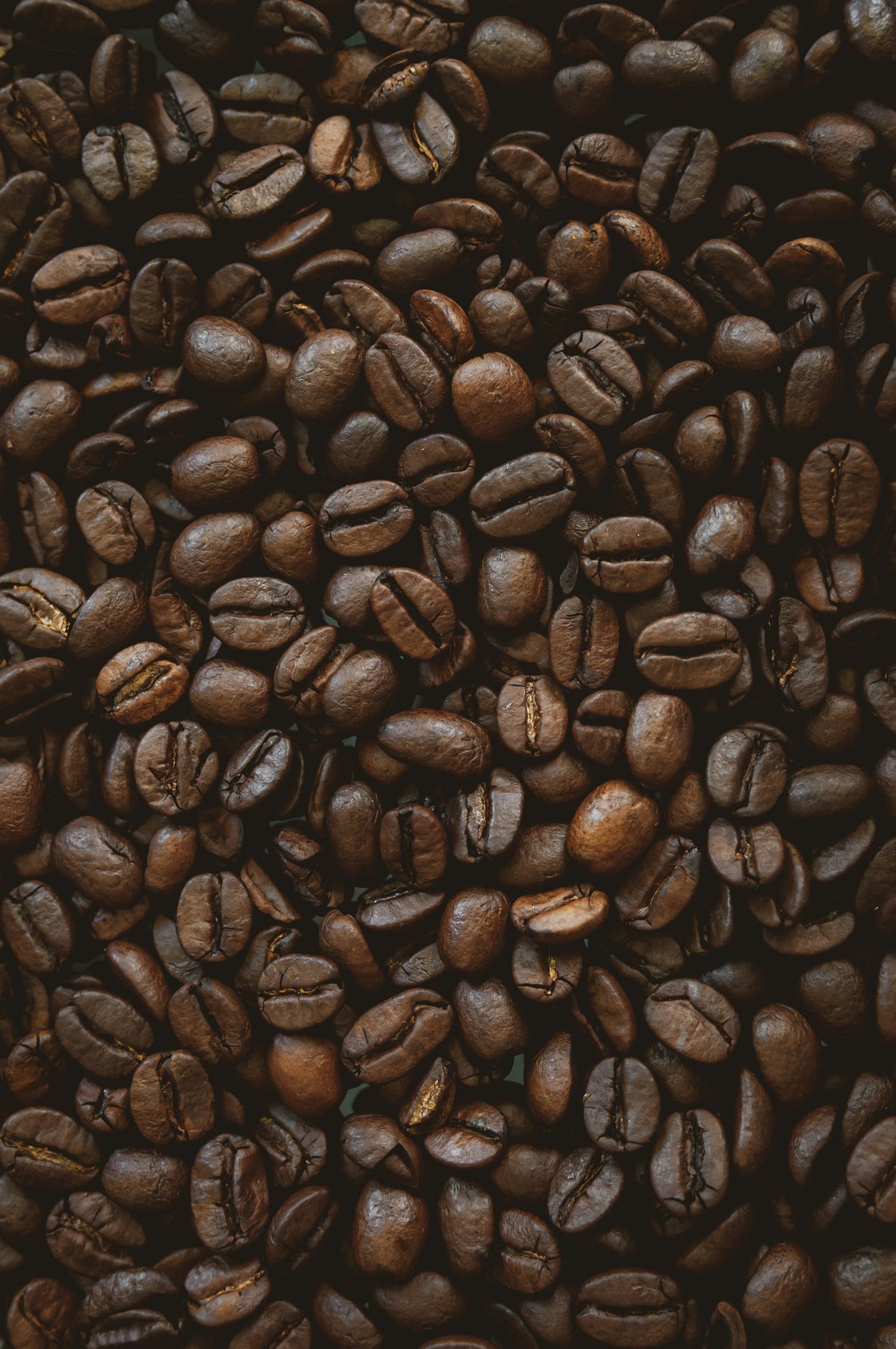 Dark roasted coffee beans filling the frame in low light, the source of the caffeine your body turns into paraxanthine