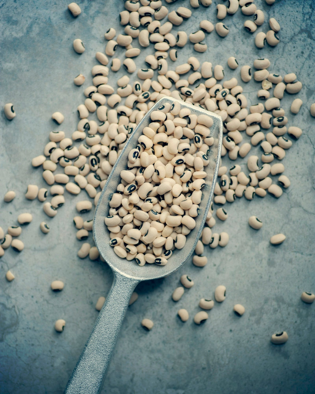 Small pale guar beans and a scoop on dark slate