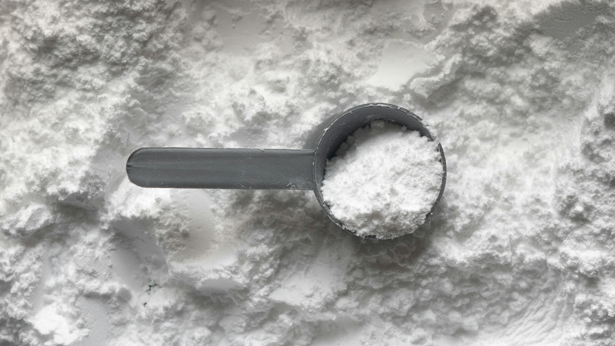 A scoop resting in fine whey protein powder