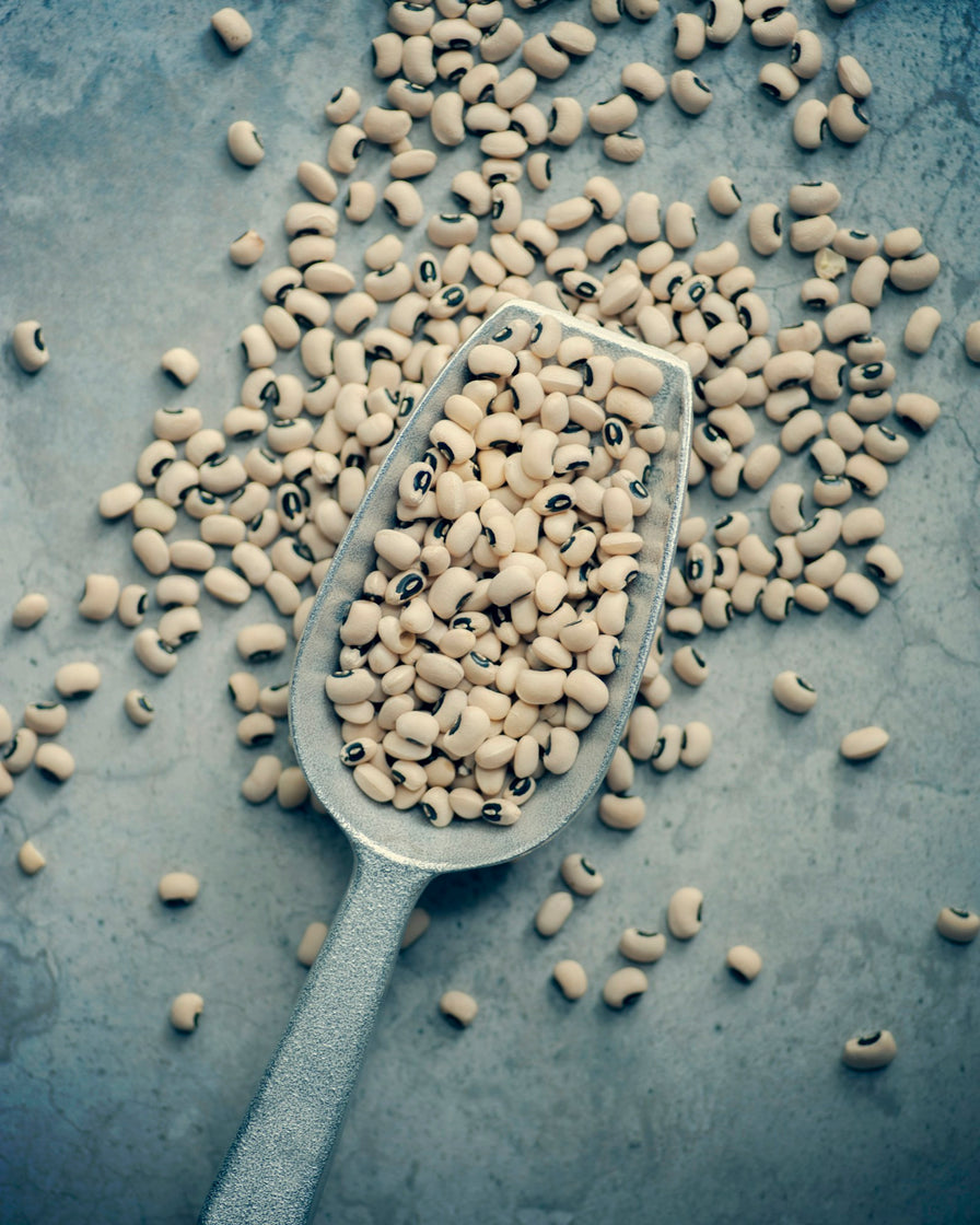 Small pale legume seeds and a scoop on dark slate