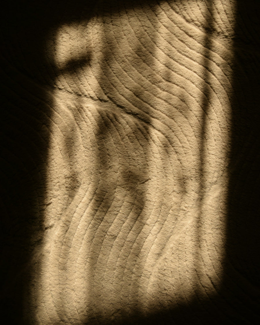 A shaft of warm sunlight falling across textured wood