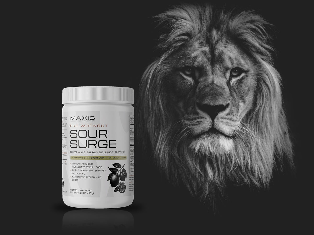 MAXIS Sour Surge pre-workout in front of a lion